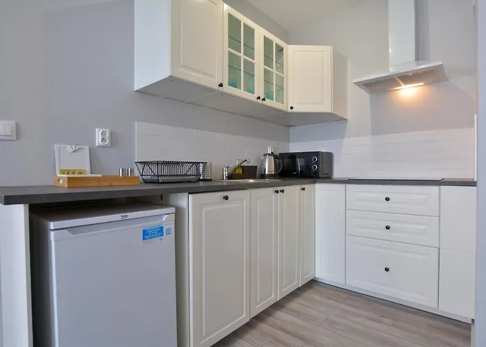 Gemini * Дзержонюв